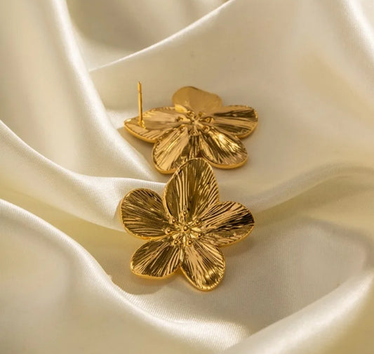 Boucles Star